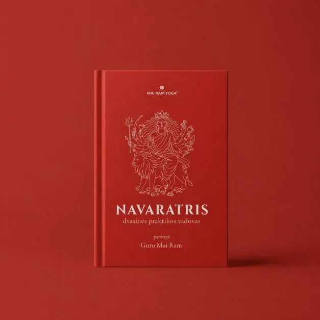 Cover of the book Navaratris