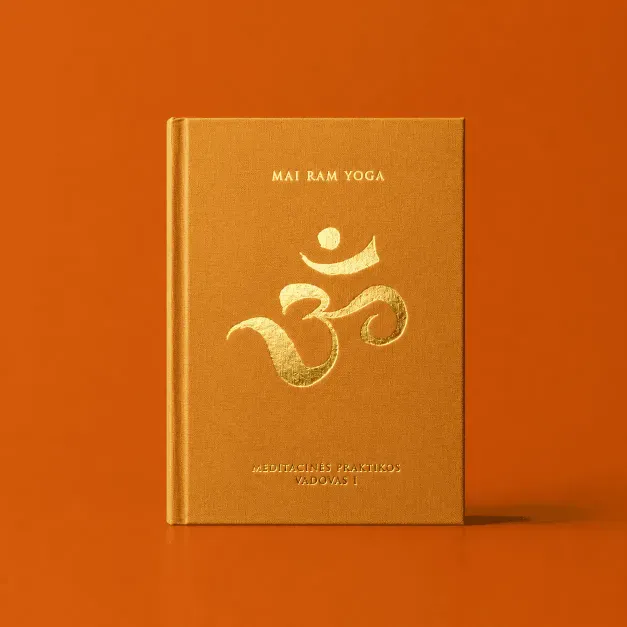 Cover of the book Meditacinės praktikos vadovas I