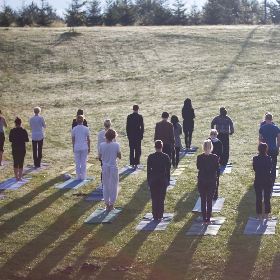 A group of people standing on mats in a meadow in the evening sun